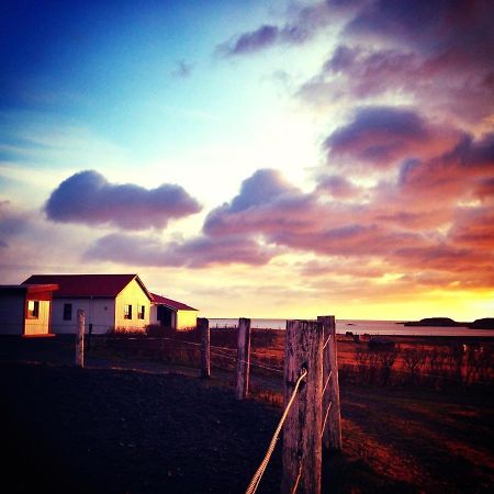 Dynjandi Guesthouse Höfn Dış mekan fotoğraf