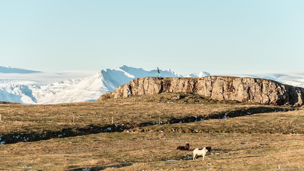 Dynjandi Guesthouse Höfn Dış mekan fotoğraf