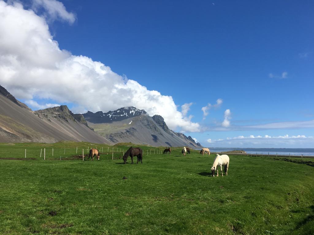Dynjandi Guesthouse Höfn Dış mekan fotoğraf